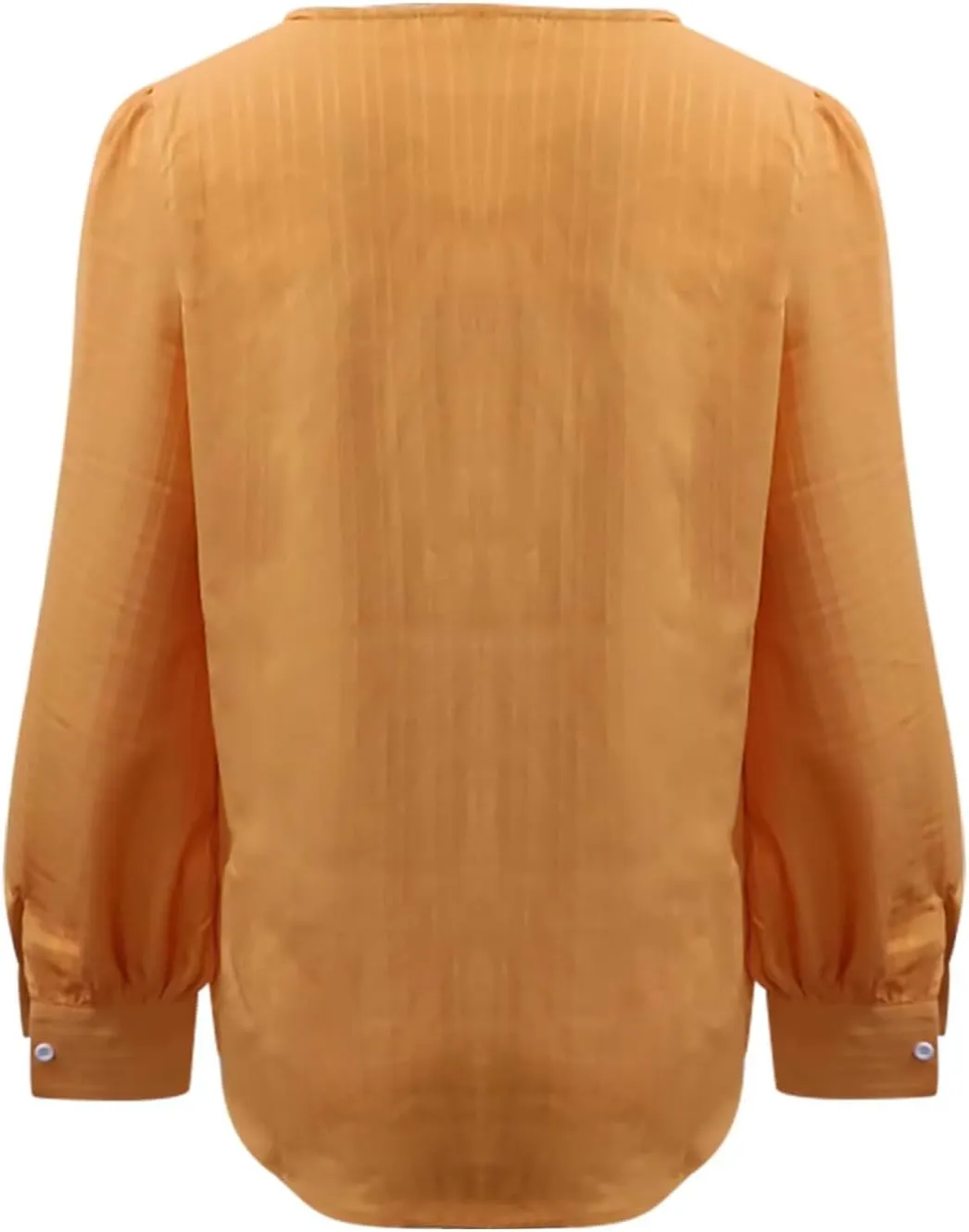 Long Sleeve Shirts for Women 2024 V Neck Lace Tops Business Casual Dressy Blouses Work Oversized Shirts Fall Clothes